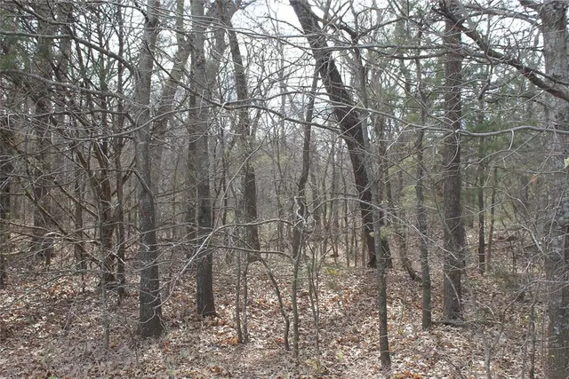Photo 4 — Whispering Oaks Road, Tecumseh, OK 74873