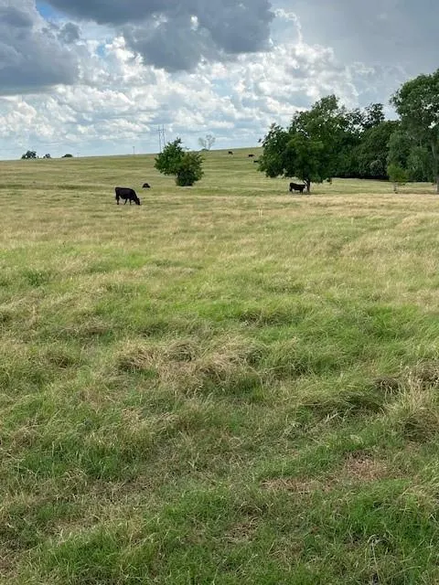 Photo 32 — 26252 Highway 19, Maysville, OK 73057
