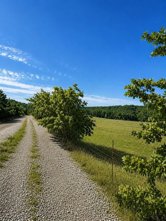 Photo 2 — Address unavailable, Gracemont, OK 73042