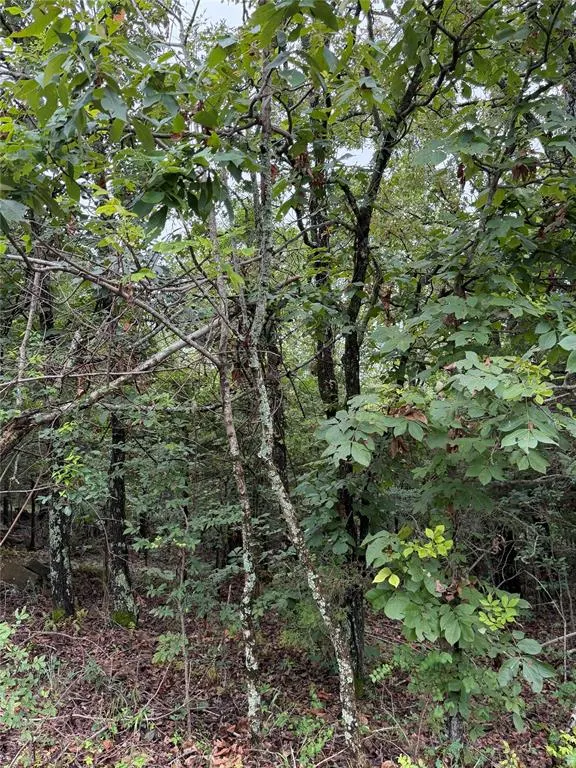 Photo 3 — Near 81st Street, Muskogee, OK 74403
