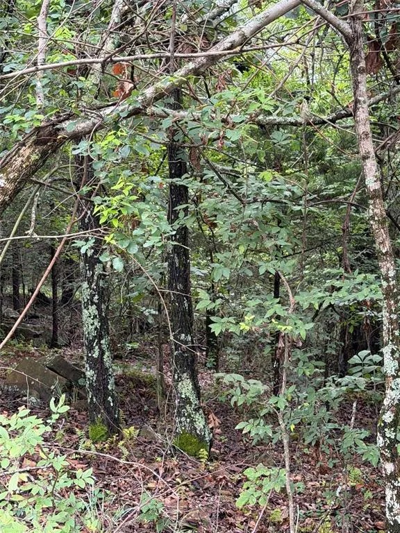 Photo 4 — Near 81st Street, Muskogee, OK 74403