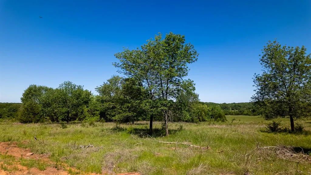 Photo 5 — 0 Avoca Road, Asher, OK 74826