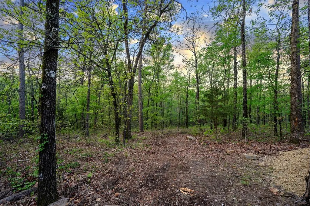 Photo 9 — 967 Catfish Bay, Broken Bow, OK 74728