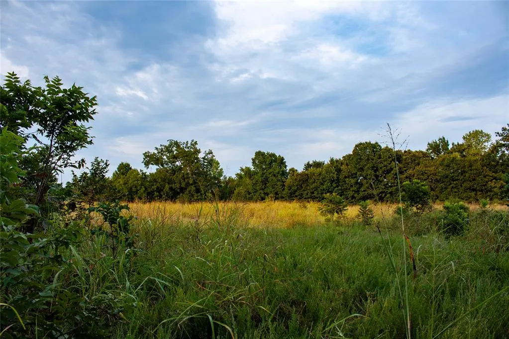 Photo 16 — 0000 HWY 39, Asher, OK 74826
