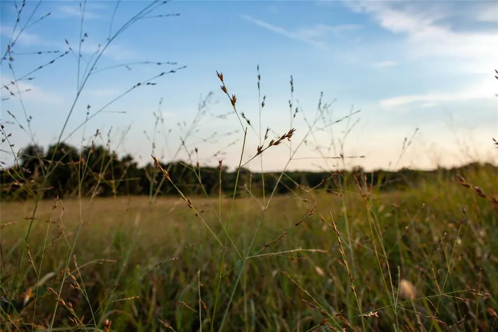Photo 18 — 0000 HWY 39, Asher, OK 74826