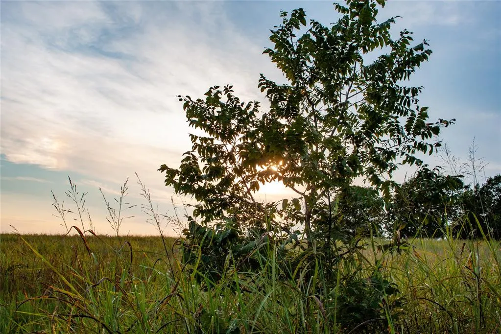 Photo 25 — 0000 HWY 39, Asher, OK 74826