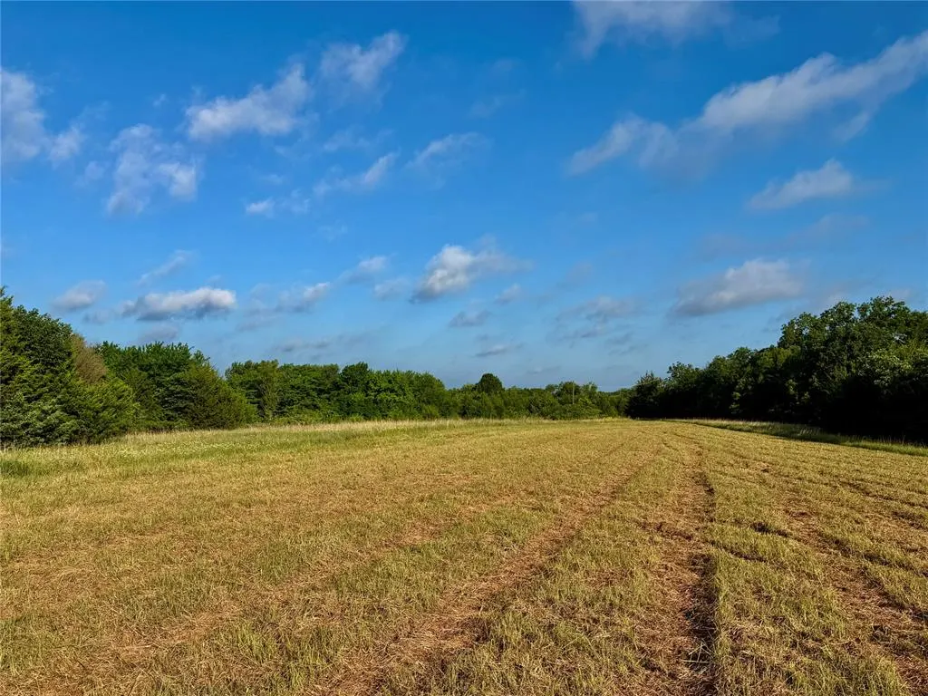 Photo 17 — 1 N 3480 Road, Earlsboro, OK 74840