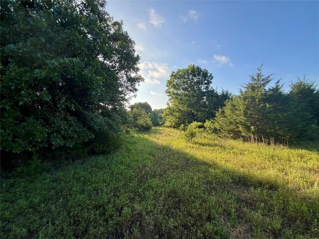 Photo 23 — 4 9 Highway, Earlsboro, OK 74840