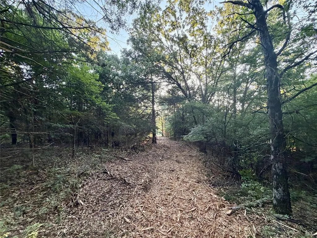 Photo 18 — 5 N 3490 Road, Earlsboro, OK 74840