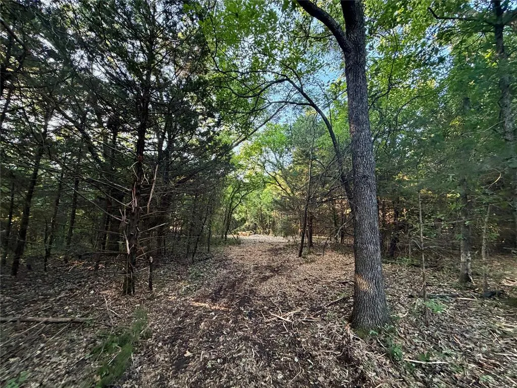 Photo 18 — 6 N 3490 Road, Earlsboro, OK 74840