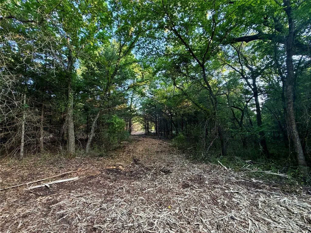 Photo 21 — 6 N 3490 Road, Earlsboro, OK 74840
