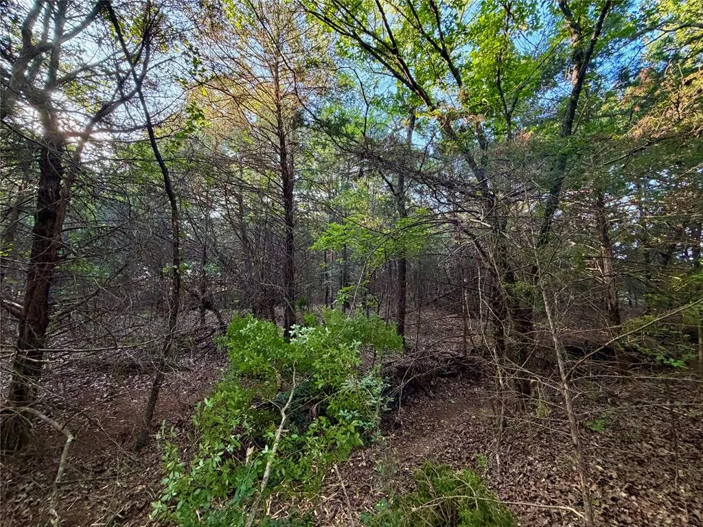 Photo 23 — 6 N 3490 Road, Earlsboro, OK 74840