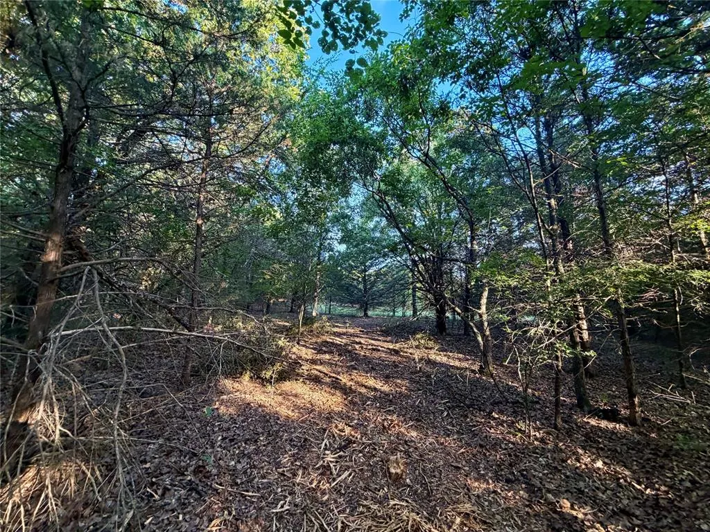 Photo 24 — 6 N 3490 Road, Earlsboro, OK 74840
