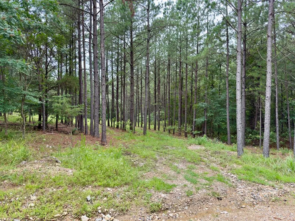 Photo 3 — 40 Hochacedar Trail, Broken Bow, OK 74728
