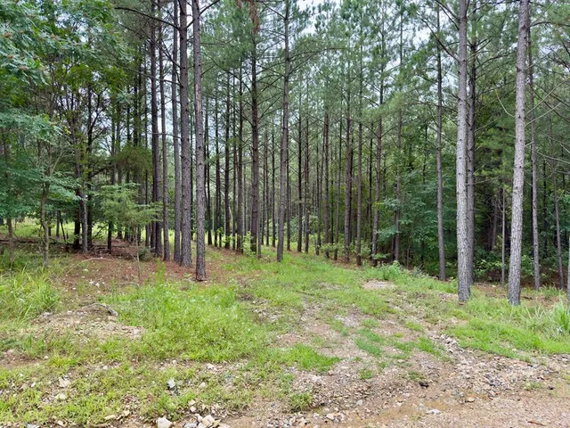 Photo 3 — 40 Hochacedar Trail, Broken Bow, OK 74728