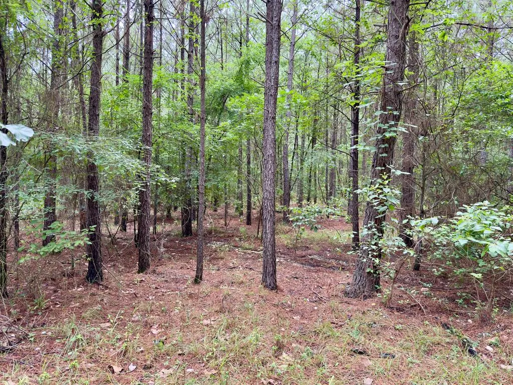 Photo 9 — 40 Hochacedar Trail, Broken Bow, OK 74728
