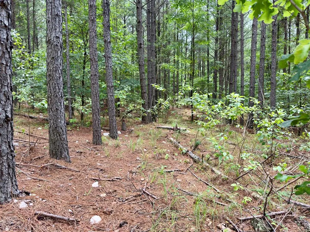 Photo 13 — 40 Hochacedar Trail, Broken Bow, OK 74728