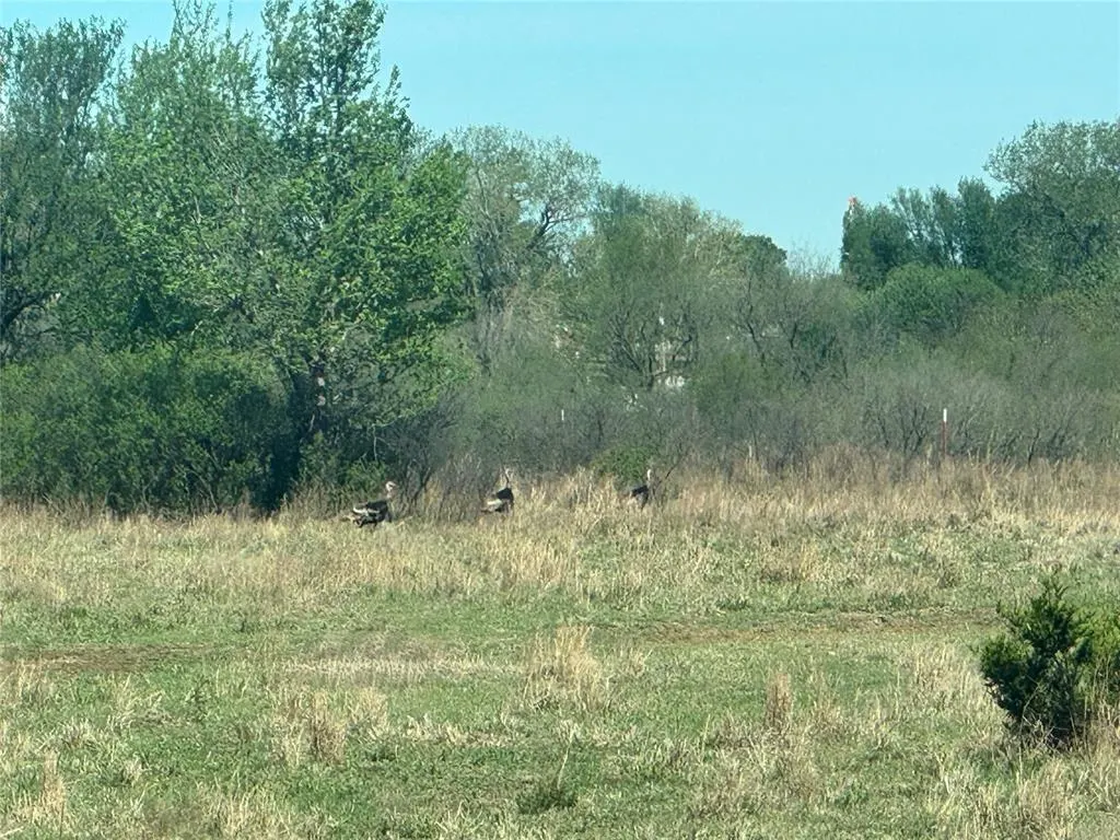 Photo 4 — CS 2860 Tract A, Chickasha, OK 73018