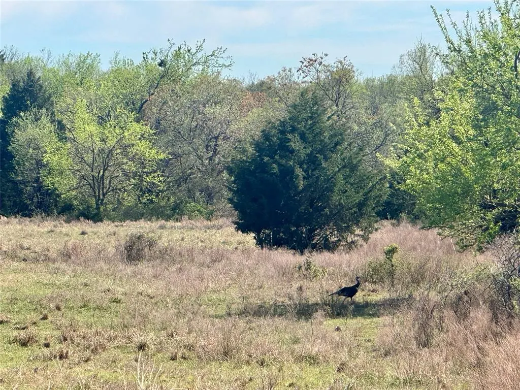 Photo 36 — CS 2860 Tract A, Chickasha, OK 73018