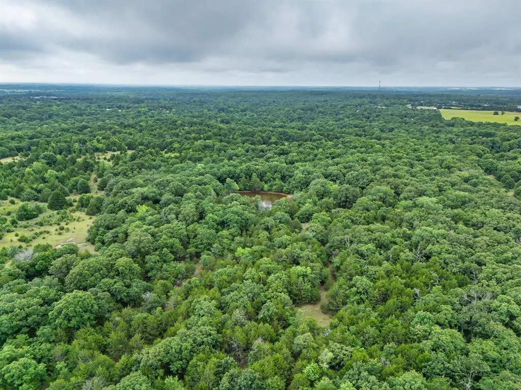 Photo 19 — Bob Crouch Road, Tecumseh, OK 74873