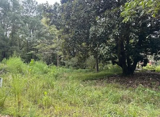 Photo 2 — 274 Galena Ridge Road, Haworth, OK 74740