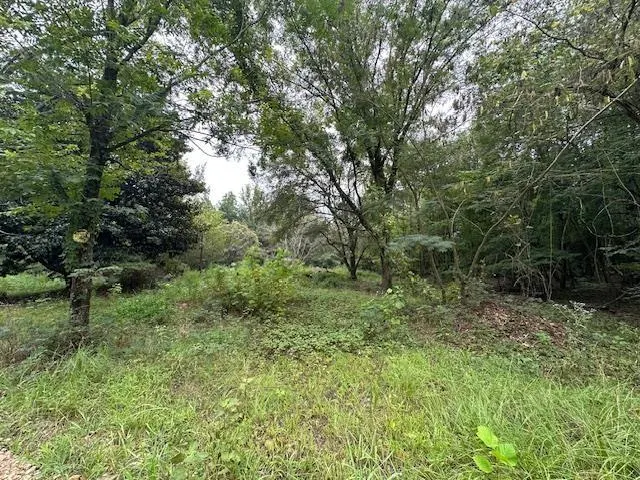 Photo 4 — 274 Galena Ridge Road, Haworth, OK 74740