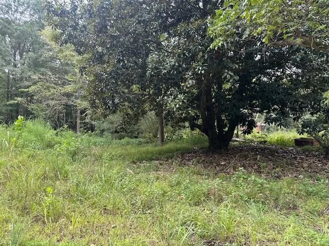 Photo 5 — 274 Galena Ridge Road, Haworth, OK 74740