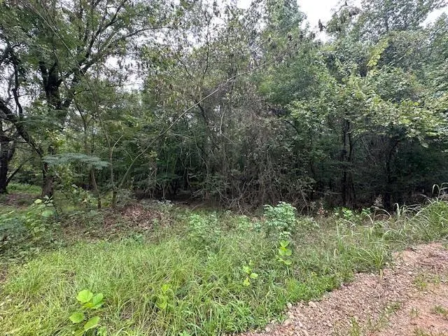 Photo 6 — 274 Galena Ridge Road, Haworth, OK 74740