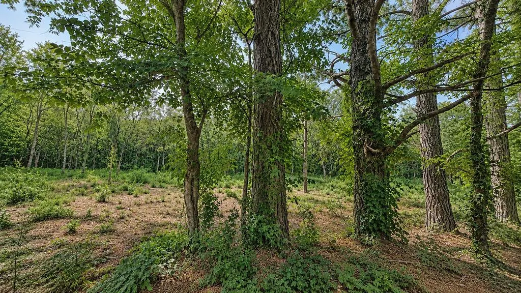 Photo 7 — 1425 Firefly Lane, Ardmore, OK 73401