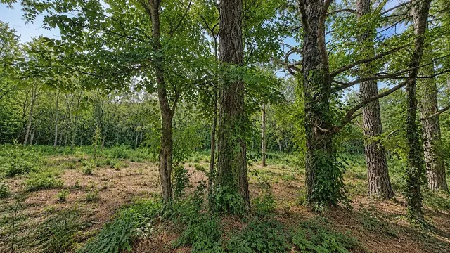 Photo 7 — 1425 Firefly Lane, Ardmore, OK 73401