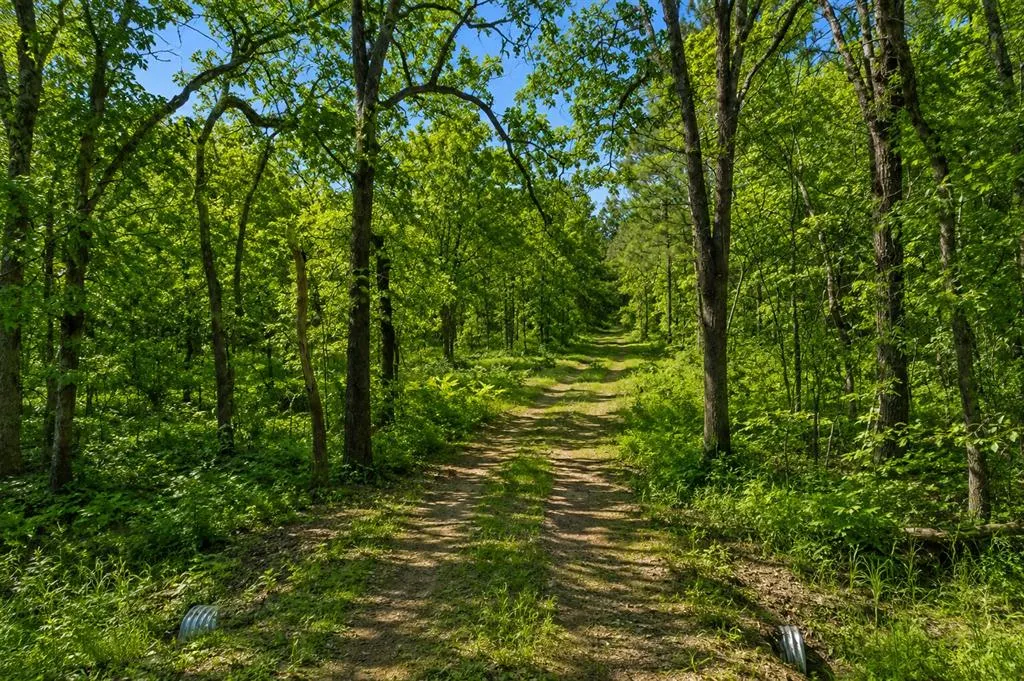 Photo 10 — 1425 Firefly Lane, Ardmore, OK 73401