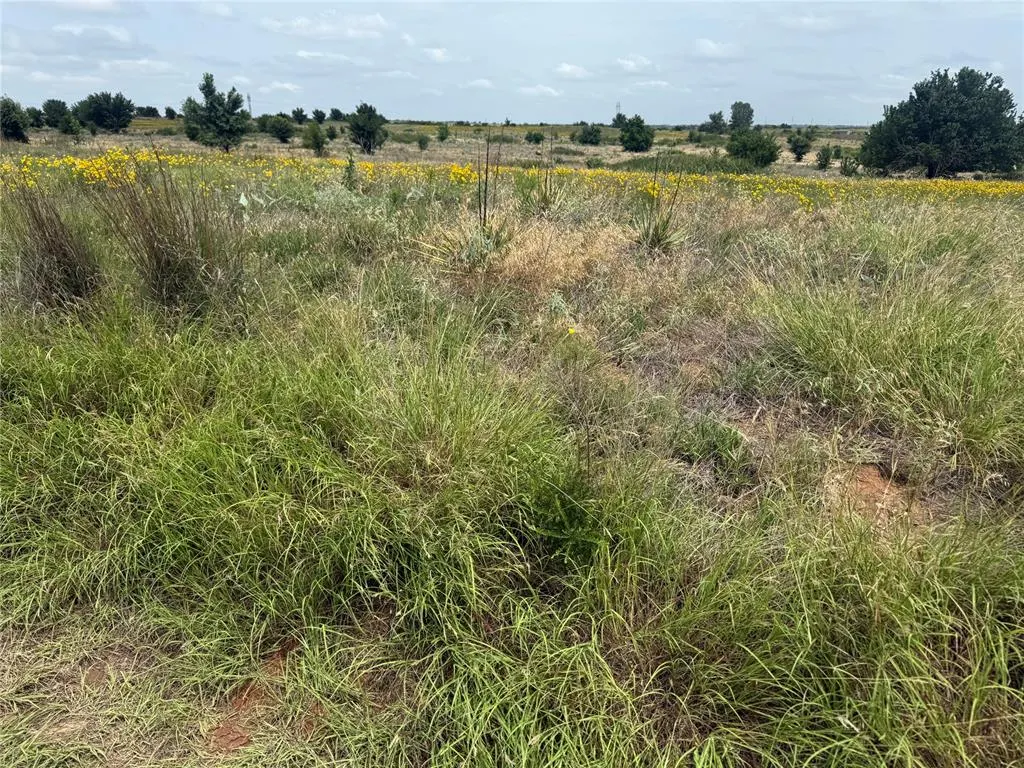 Photo 11 — N 2700 Road, Cyril, OK 73029