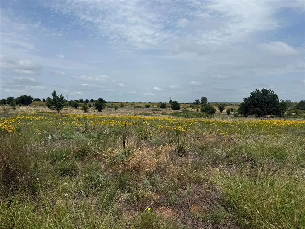 Photo 12 — N 2700 Road, Cyril, OK 73029
