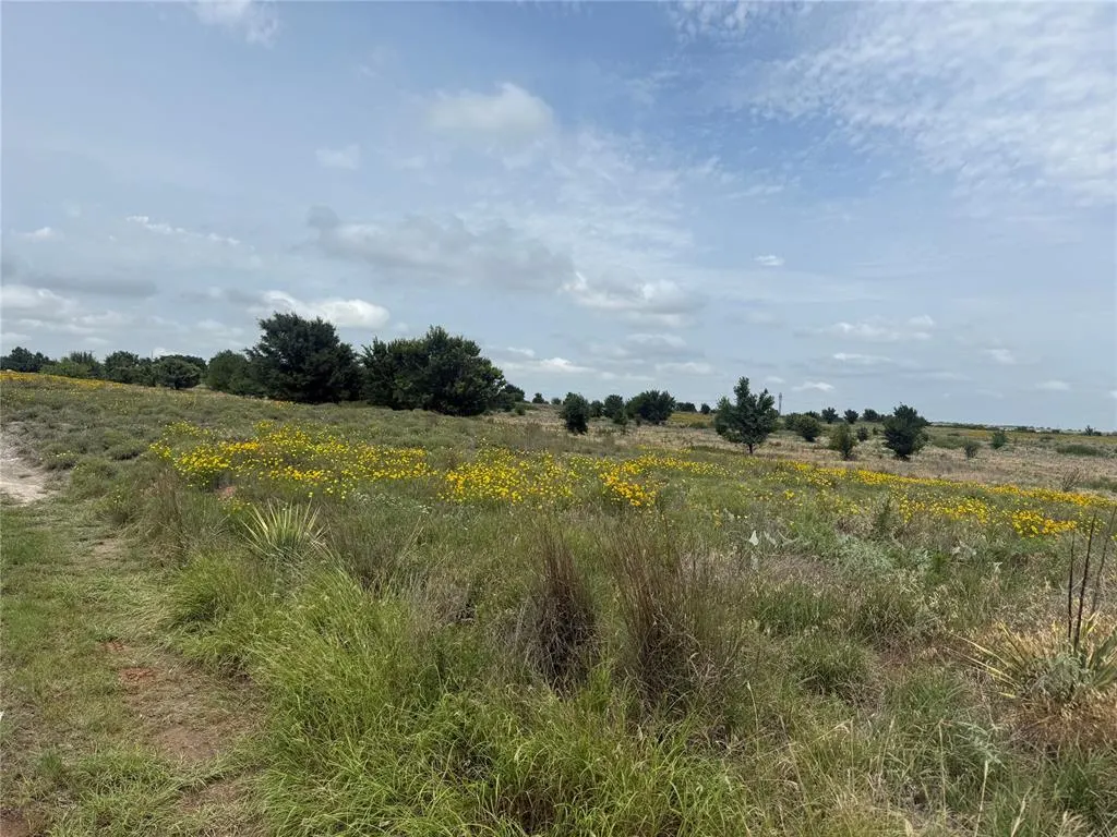 Photo 14 — N 2700 Road, Cyril, OK 73029