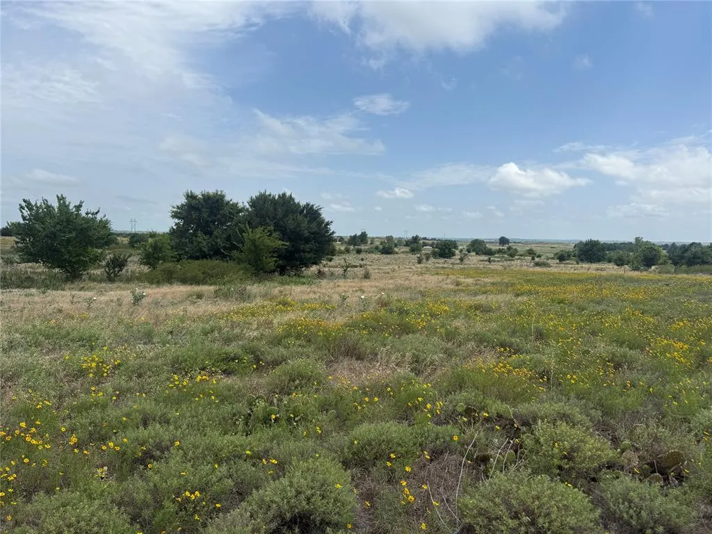 Photo 15 — N 2700 Road, Cyril, OK 73029