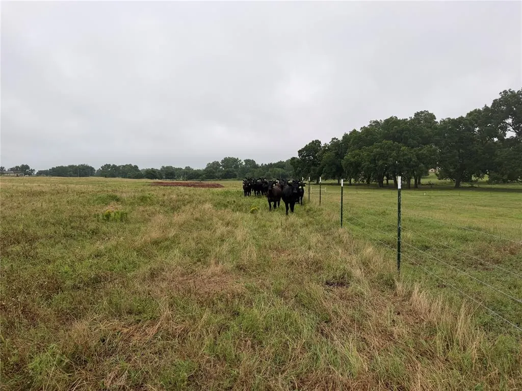 Photo 12 — 00 EW 1170 Road, Earlsboro, OK 74840