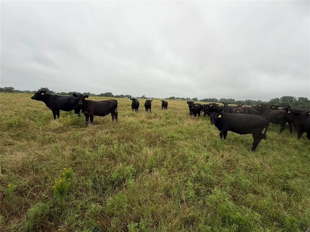 Photo 13 — 00 EW 1170 Road, Earlsboro, OK 74840