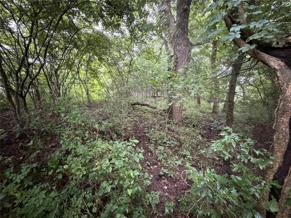 Photo 19 — 00 EW 1170 Road, Earlsboro, OK 74840
