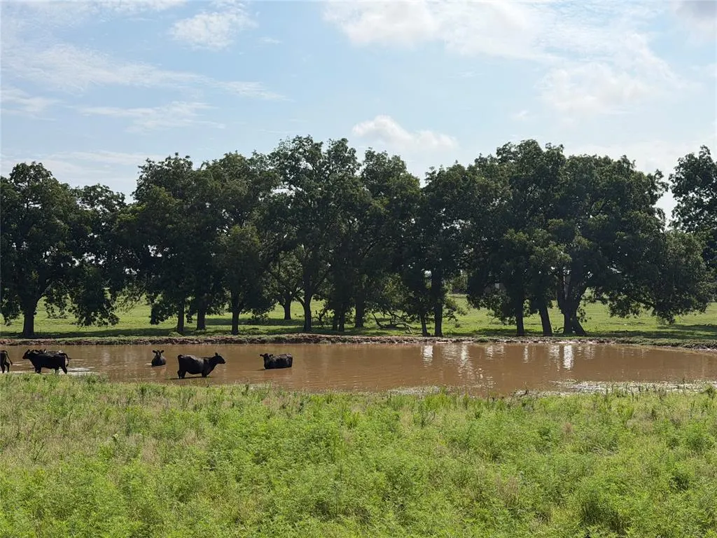 Front exterior — 00 EW 1170 Road, Earlsboro, OK 74840
