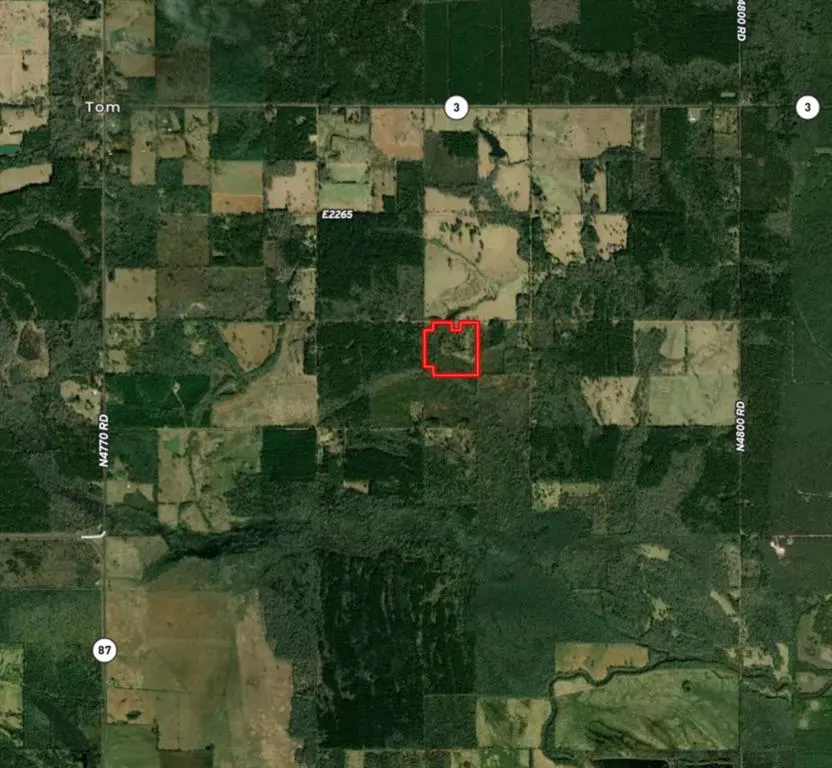 Photo 3 — 37 TBD Butler Road Road, Haworth, OK 74740