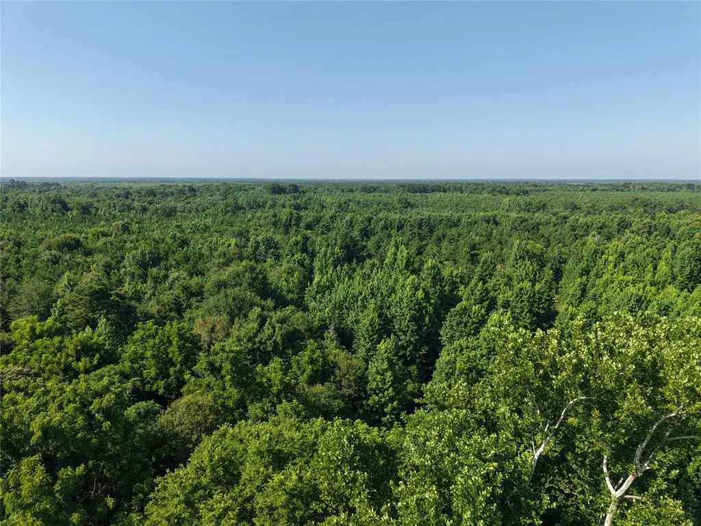 Photo 4 — 37 TBD Butler Road Road, Haworth, OK 74740