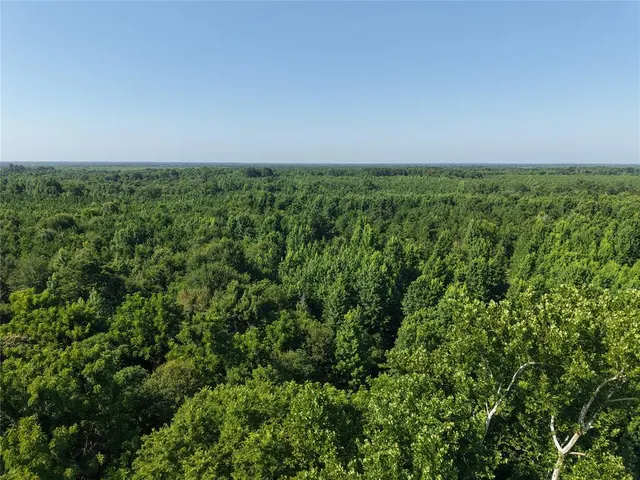 Photo 4 — 37 TBD Butler Road Road, Haworth, OK 74740