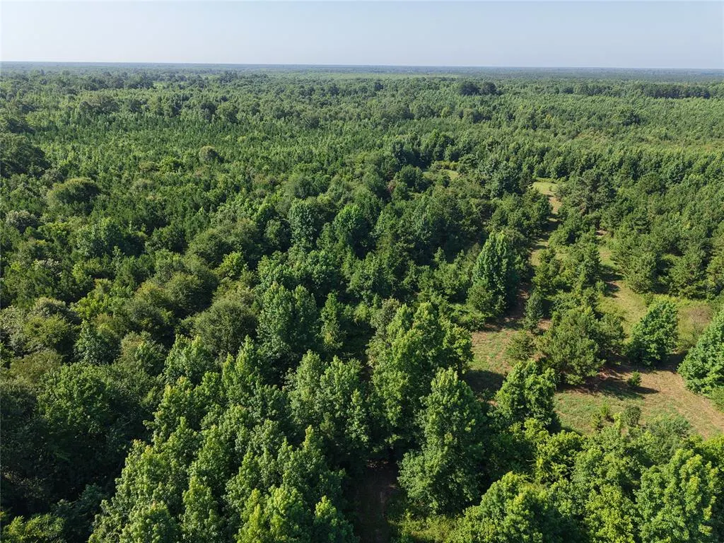 Photo 5 — 37 TBD Butler Road Road, Haworth, OK 74740