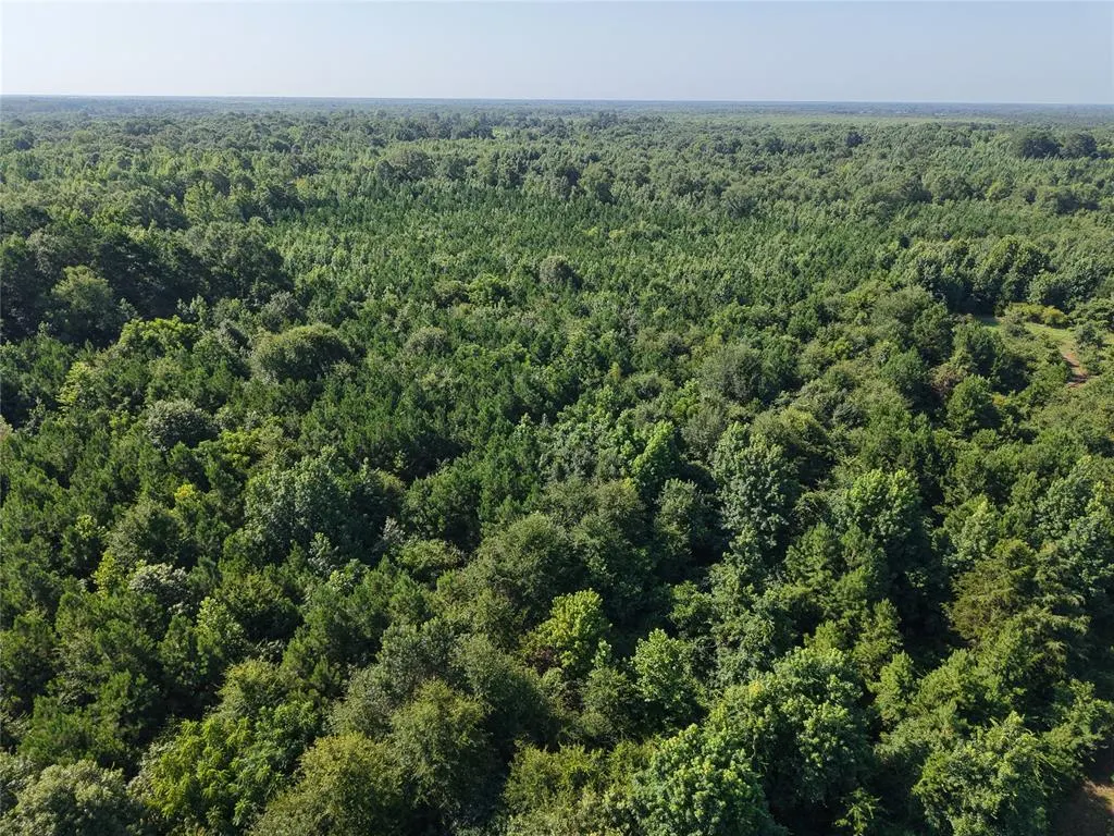 Photo 6 — 37 TBD Butler Road Road, Haworth, OK 74740