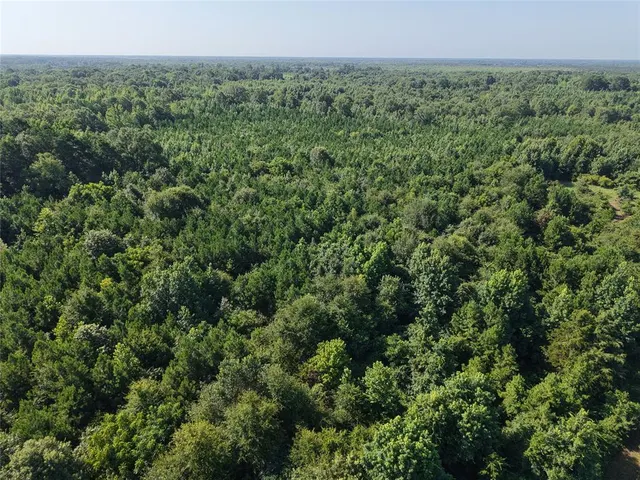 Photo 6 — 37 TBD Butler Road Road, Haworth, OK 74740