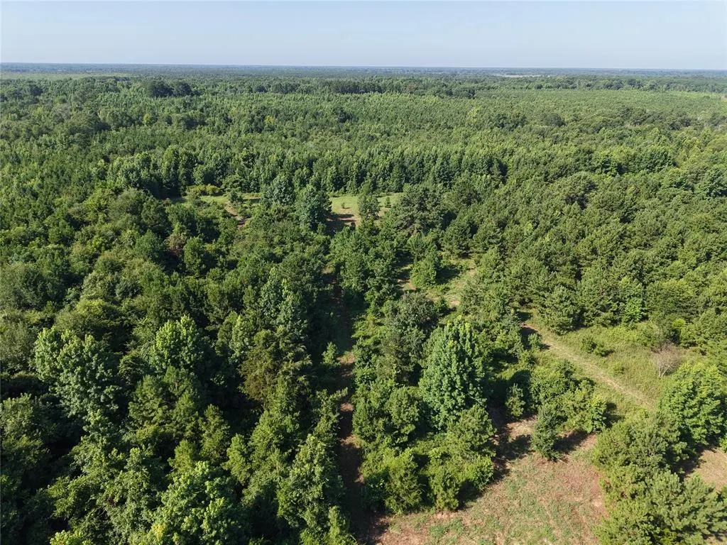 Photo 7 — 37 TBD Butler Road Road, Haworth, OK 74740