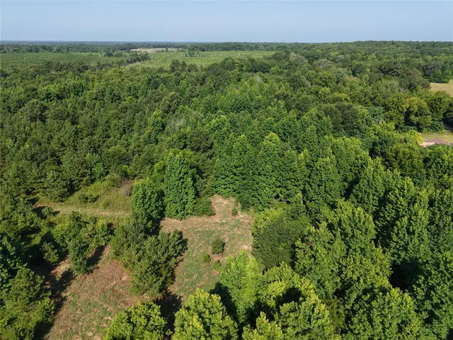 Photo 8 — 37 TBD Butler Road Road, Haworth, OK 74740