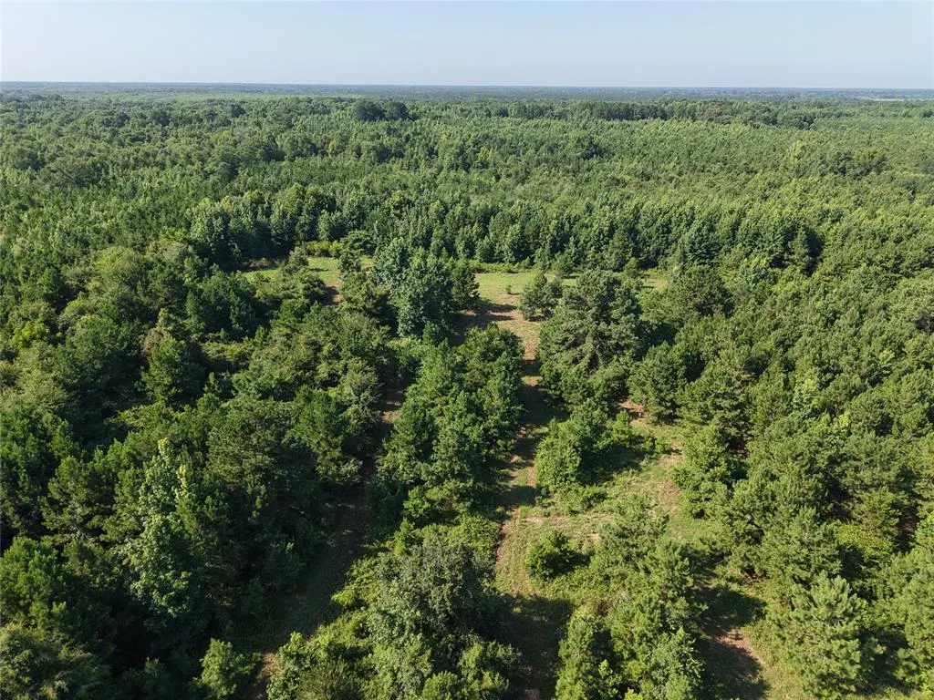 Photo 9 — 37 TBD Butler Road Road, Haworth, OK 74740