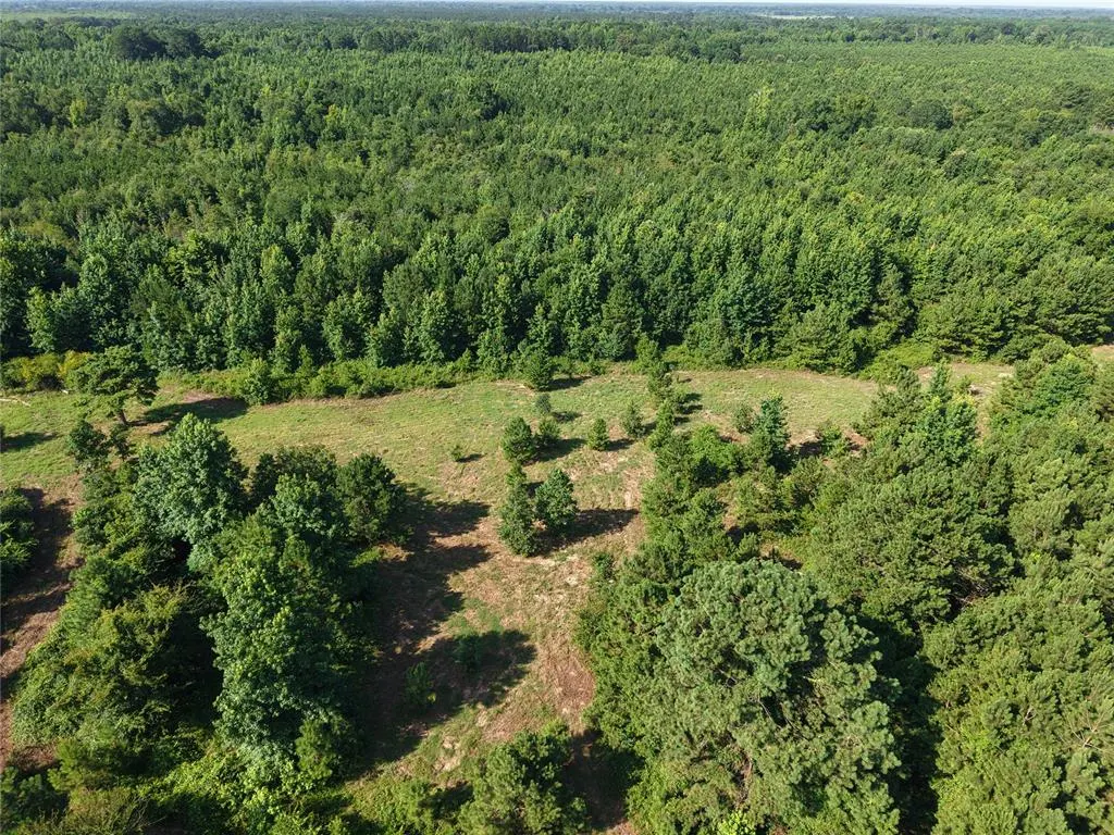 Photo 10 — 37 TBD Butler Road Road, Haworth, OK 74740
