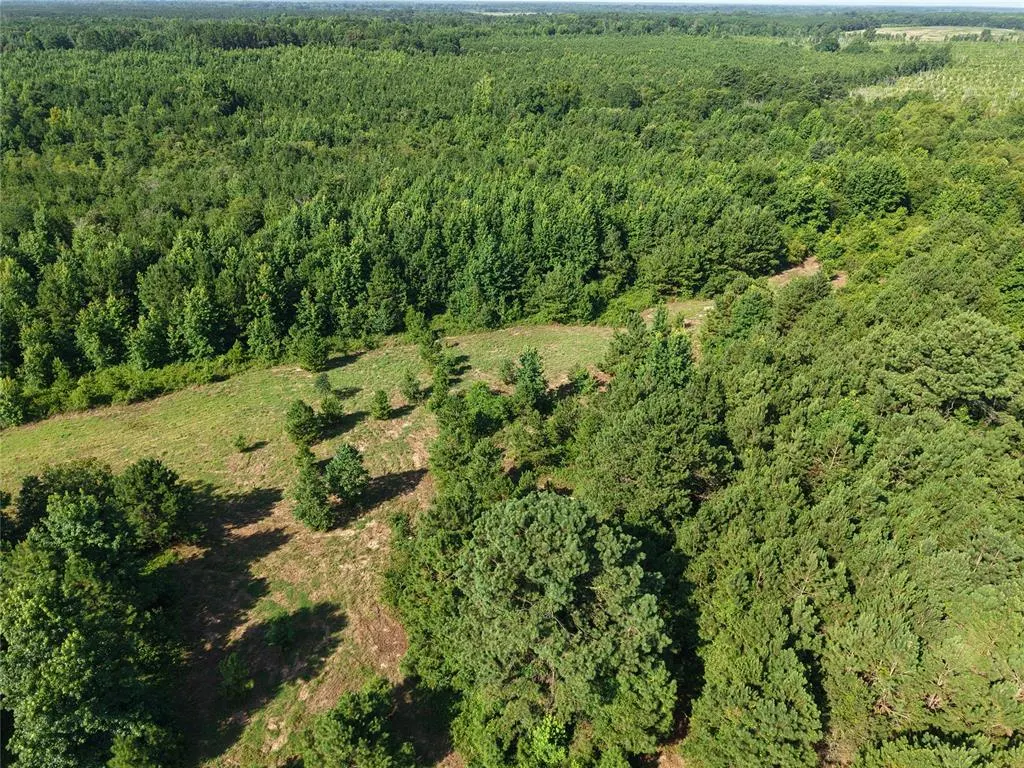 Photo 11 — 37 TBD Butler Road Road, Haworth, OK 74740
